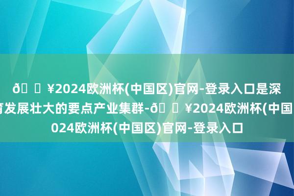 🔥2024欧洲杯(中国区)官网-登录入口是深圳市正在苟且培育发展壮大的要点产业集群-🔥2024欧洲杯(中国区)官网-登录入口